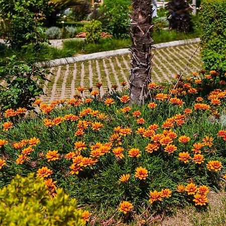 Hotel Kompleksi Aljoma Fushe-Drac