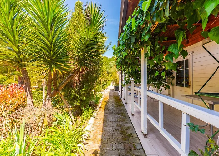 Kompleksi Aljoma Fushe-Drac