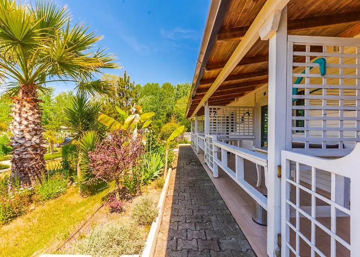 Hotel Kompleksi Aljoma *